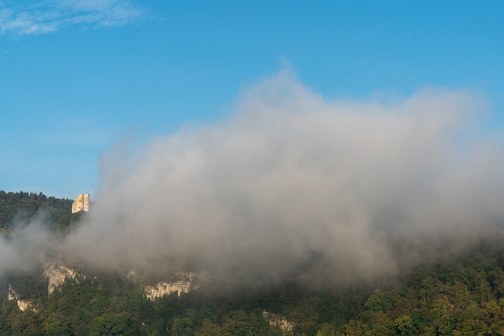 Blick zur Burgruine Pfeffingen