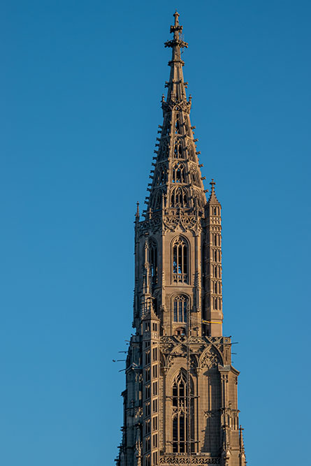 Münsterturm Bern