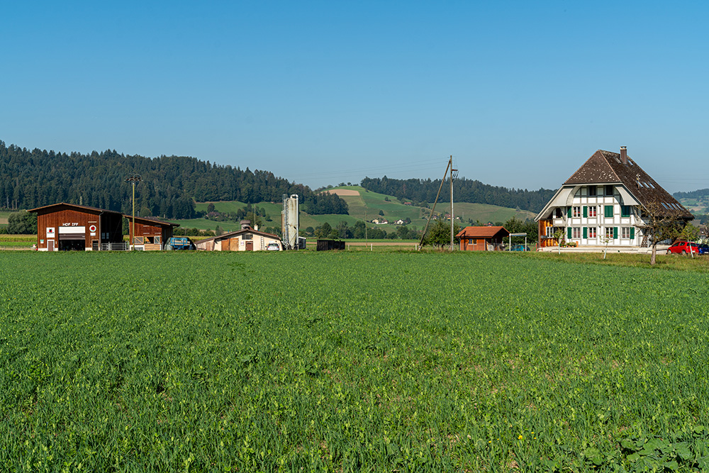 Sossaustrasse Rohrbach