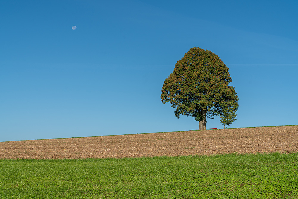 Aussichtspunkt ob dem Schulhaus in Affoltern i. E.