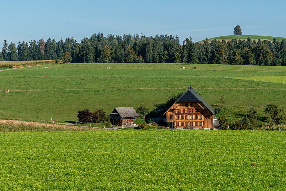 Speicher und Bauernhaus in Eggerdingen