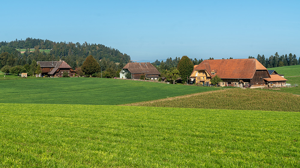 Eggerdingen in Affoltern i. E.